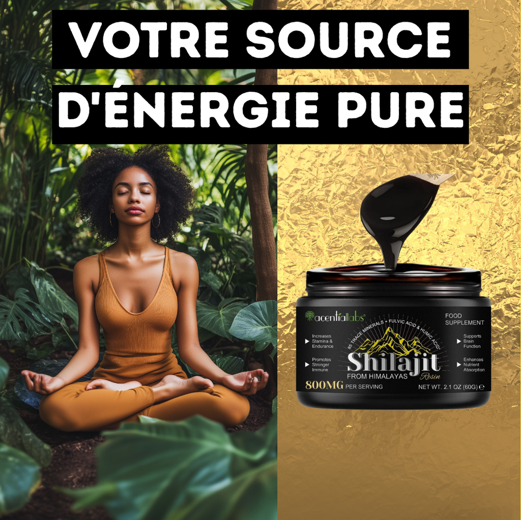 L'Or Noir de l'Himalaya : Véritable Résine de Shilajit Ayurvédique – Qualité Supérieure