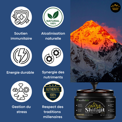 L'Or Noir de l'Himalaya : Véritable Résine de Shilajit Ayurvédique – Qualité Supérieure
