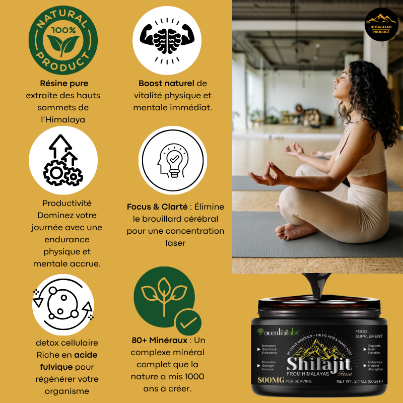 L'Or Noir de l'Himalaya : Véritable Résine de Shilajit Ayurvédique – Qualité Supérieure